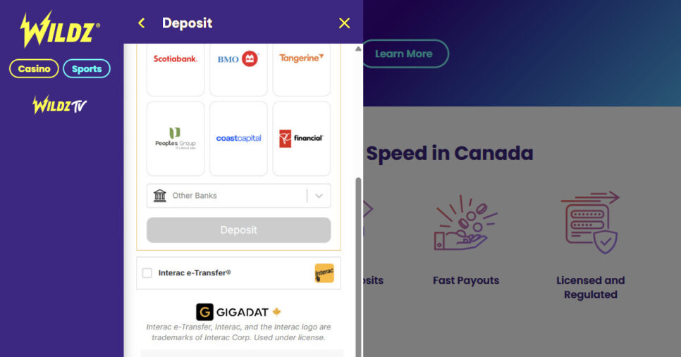 Gigadat Online Casino Login: A Canadian Player's Review